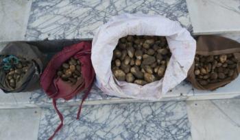 Elazığ’da Salep soğanı toplayan 4 kişiye 307 bin TL’lik rekor ceza