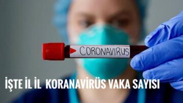 Iğdır’da kaç pozitif Koranavirüs vakası var,işte cevabı