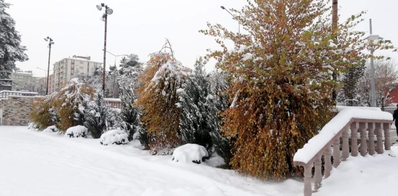 Erzurum kar a teslim
